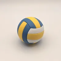 Volleyball - AMS
