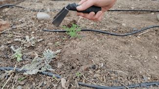 Weeding Tool