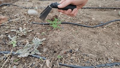 Weeding Tool