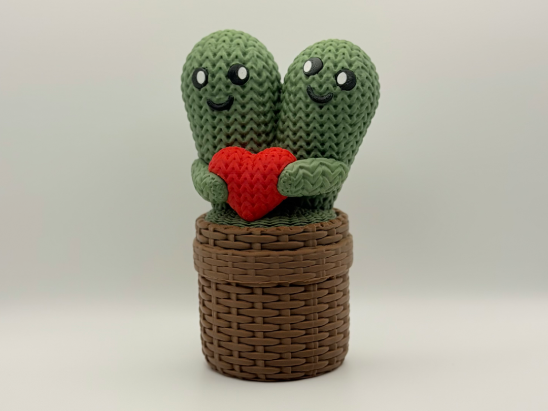 Hugging Cactus Valentine Planter & Storage Box