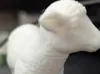 0.2mm layer, 3 walls, 10% infill