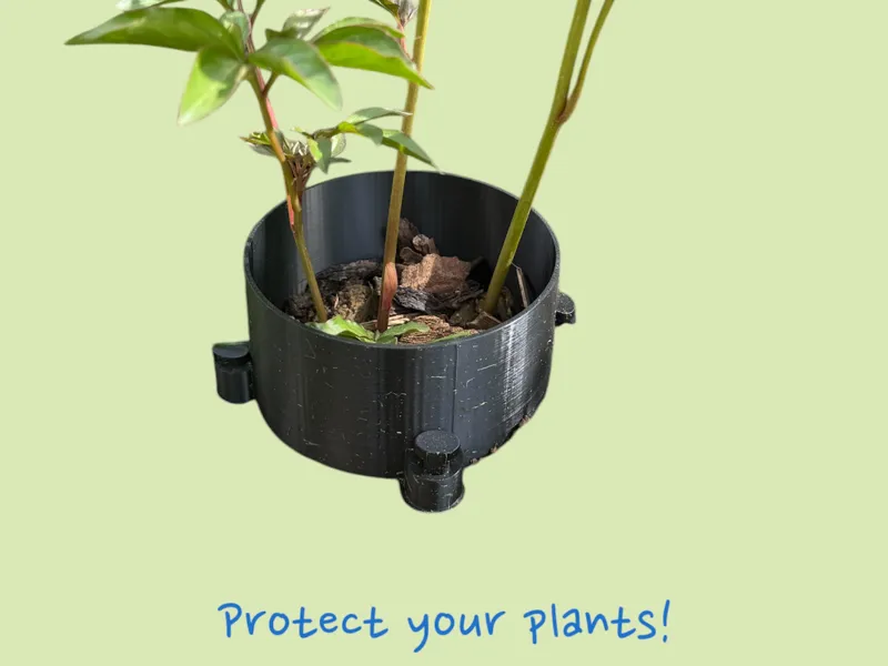 Plant Bodyguard / Flora Fence