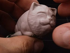 https://makerworld.bblmw.com/makerworld/model/US9e4b9f52ff7929/design/2025-07-25_78d6594f14973.gif
