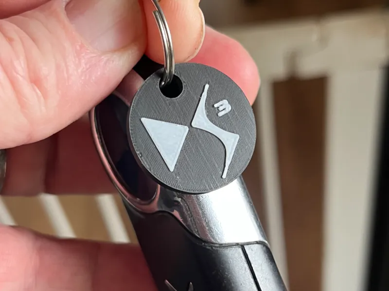 Citroen DS3 Small Keychain