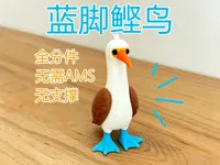 蓝脚鲣鸟