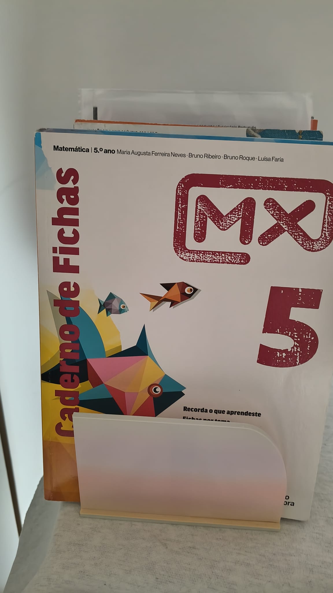 Foto 7