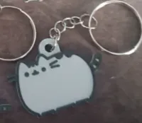 Pusheen Normal