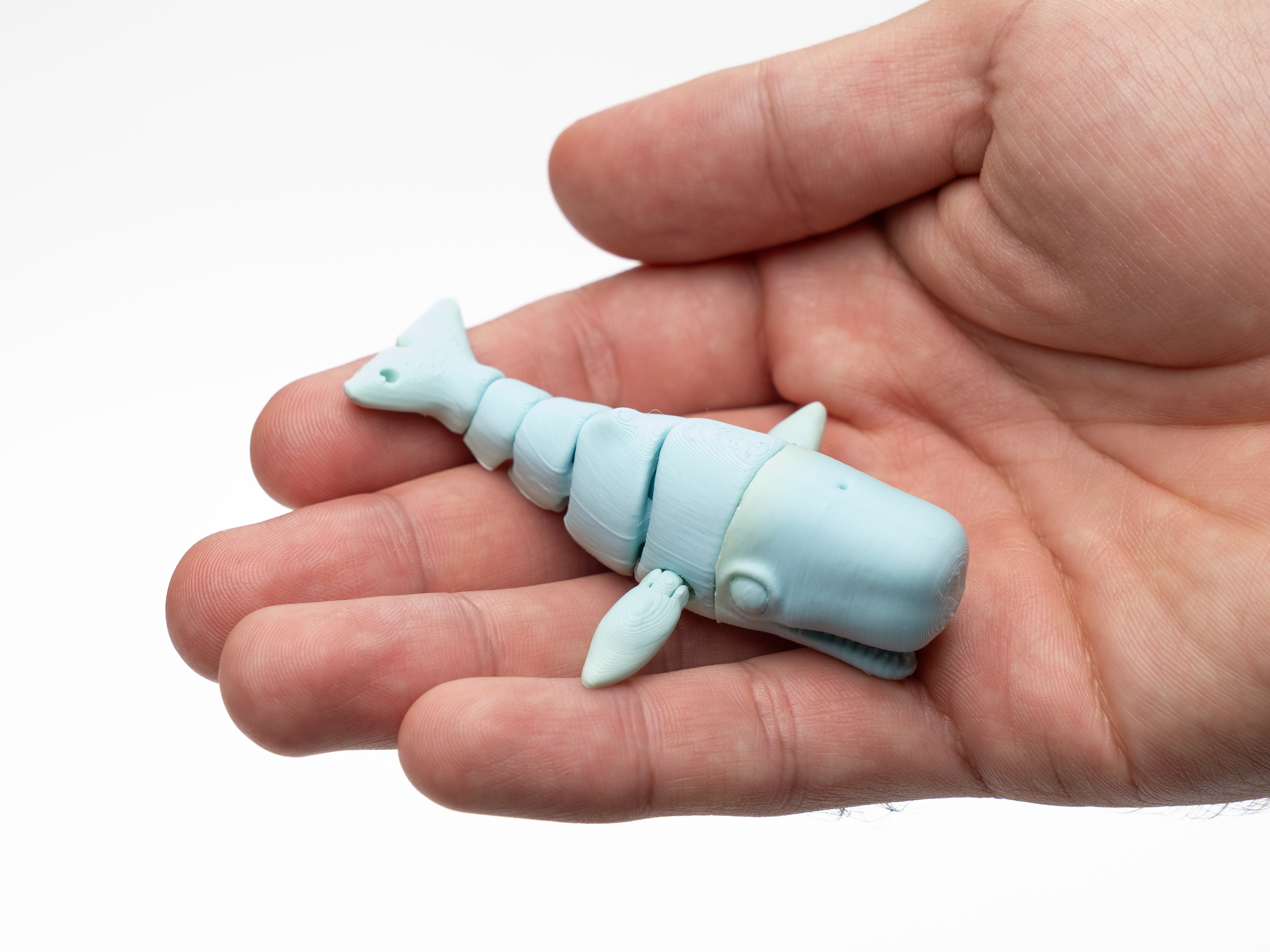Flexi sperm Whale & Keychain - 1