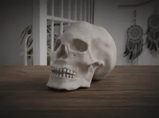 High Res Handsculpted Skull Halloween