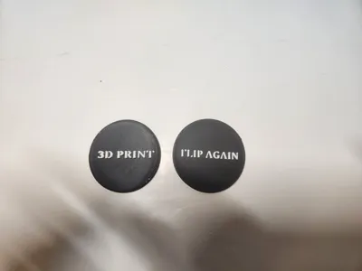 Coin Flip/Toss