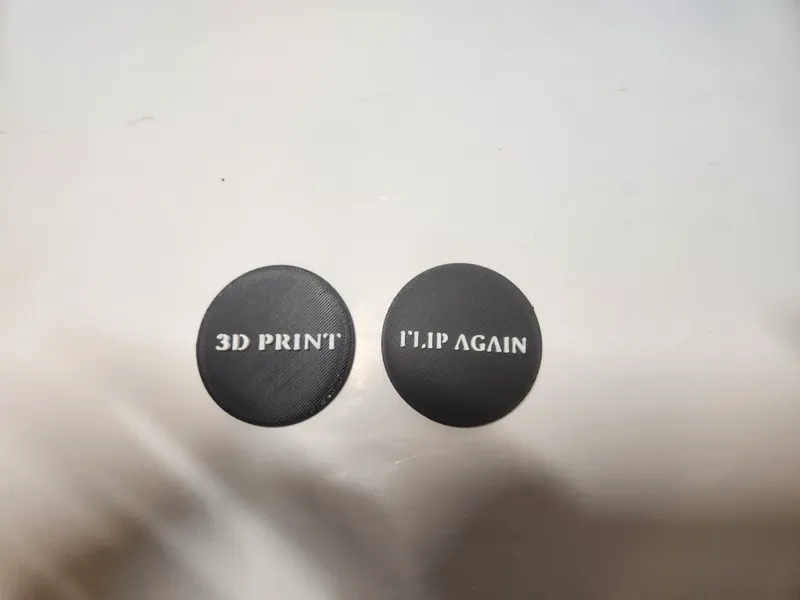 Coin Flip/Toss