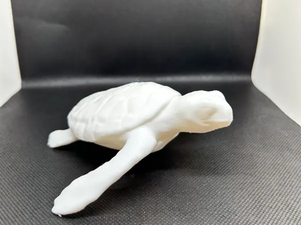 https://makerworld.bblmw.com/makerworld/model/US9e5466fb60c43d/design/2024-12-29_8232884f4c4b4.jpeg