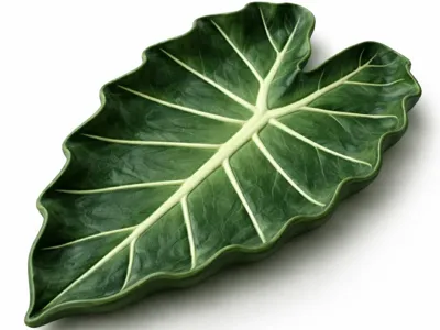 Alocasia Plant Leaf Tray Decor