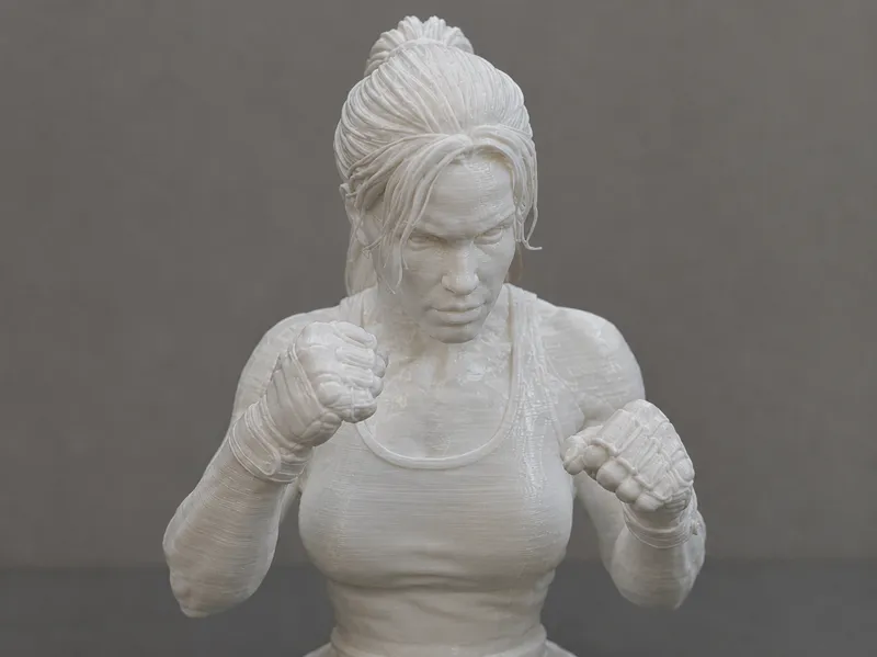 Sonya Blade Mortal Kombat Bust 3D Print Model 556