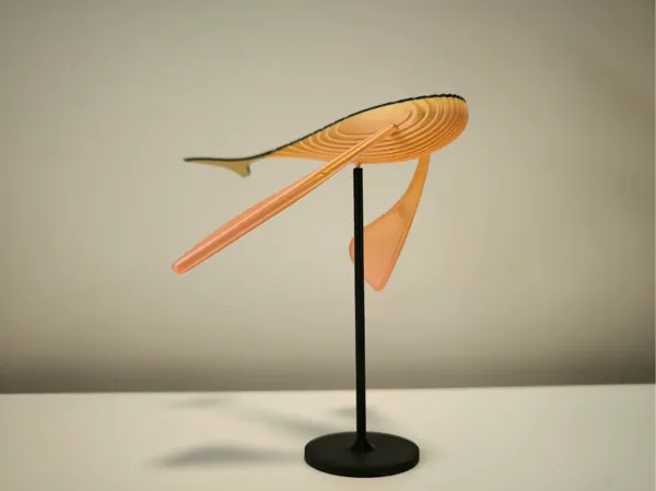https://makerworld.bblmw.com/makerworld/model/US9e5c56a62bc13e/design/2024-10-14_bbe4473dc972a.jpg
