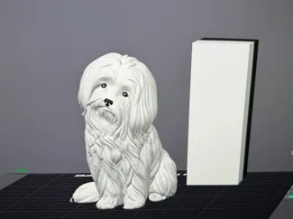 Malteser Hund