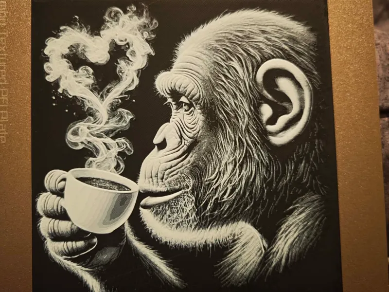 Monkey love