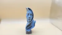 0.16mm layer, 2 walls, 10% infill