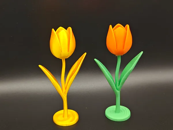 https://makerworld.bblmw.com/makerworld/model/US9e69098a9ed73b/design/2025-05-27_eee413de86bc68.jpg