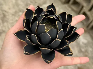 莲花