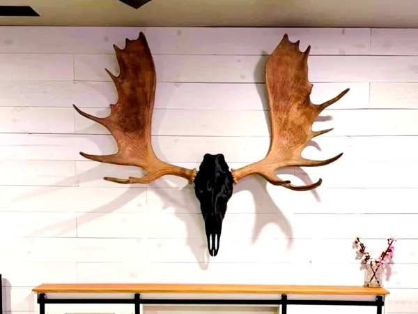 https://makerworld.bblmw.com/makerworld/model/US9e6de9616cac9c/design/0c79d9183d85add1.jpg