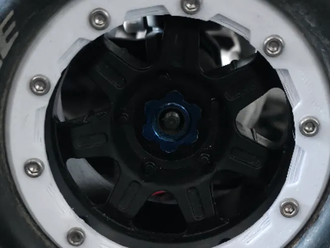Louise MT Maxx 1/10 Traxxas Maxx