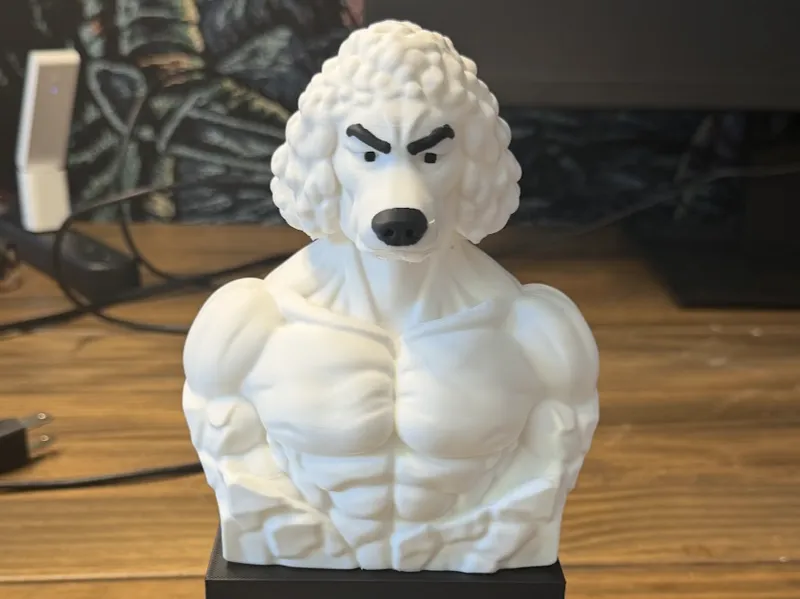 Chadlas, the gigachad poodle