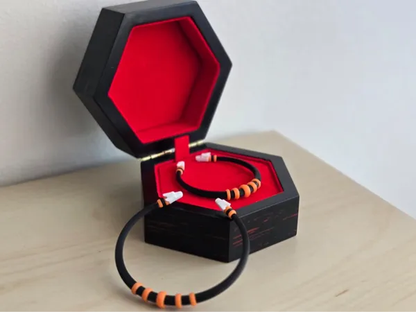 https://makerworld.bblmw.com/makerworld/model/US9e7436aafd56f1/design/2025-11-09_b3e1c2e2591078.jpg
