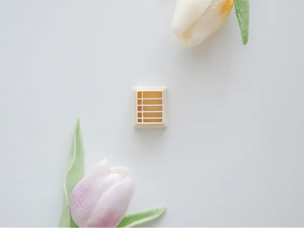https://makerworld.bblmw.com/makerworld/model/US9e74c076da4497/design/2025-07-08_b979a0e340039.jpg