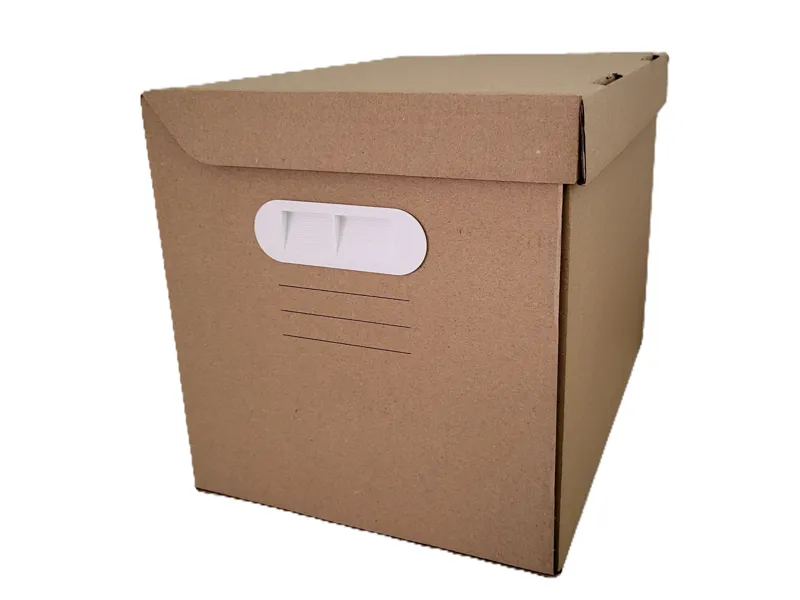 Staubschutz / Griffe IKEA PAPPIS (Archivbox)