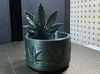 0.2mm layer, 2 walls, 10% infill