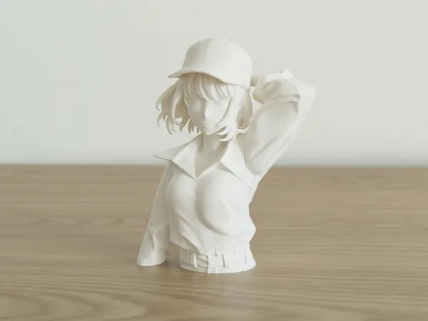 https://makerworld.bblmw.com/makerworld/model/US9e82d14f2f06c/design/d5e1d804acb4308e.jpeg