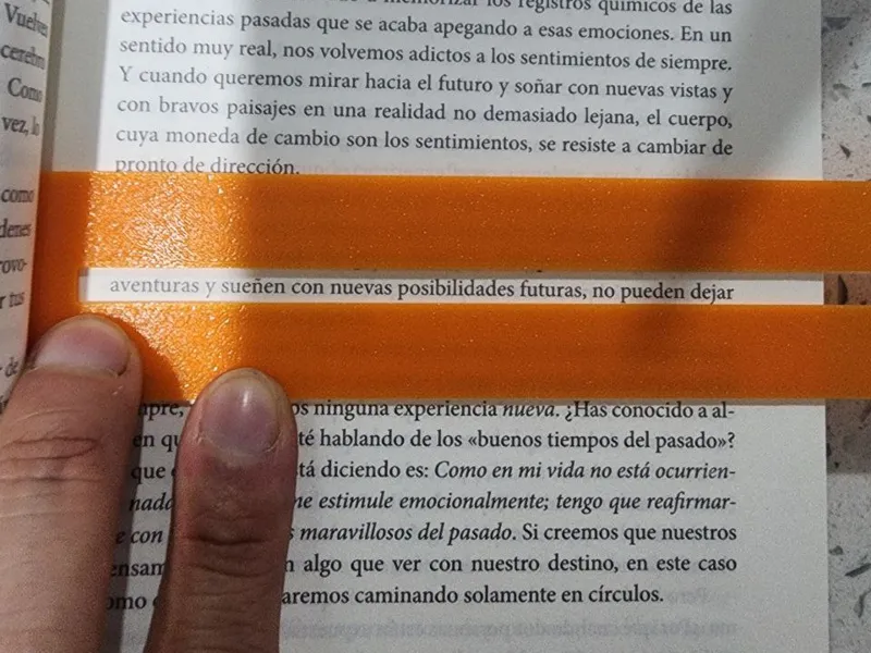 Regla Para Lectura