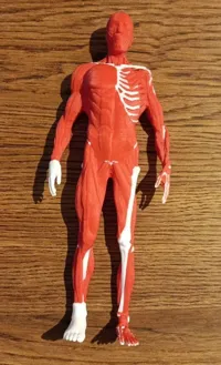 For A1 mini, filled body, 0.12mm layer, 3 walls, 10% infill