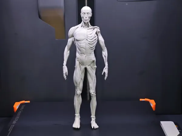 https://makerworld.bblmw.com/makerworld/model/US9e896df9dc825d/design/2025-04-02_fbd08b8fa5632.jpg