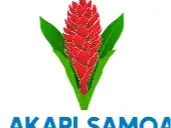 samoa rugby light box