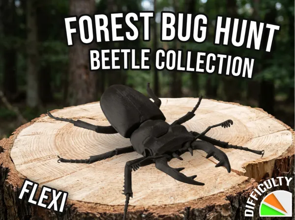 https://makerworld.bblmw.com/makerworld/model/US9e915411131b50/design/f00d6721f918d573.jpg