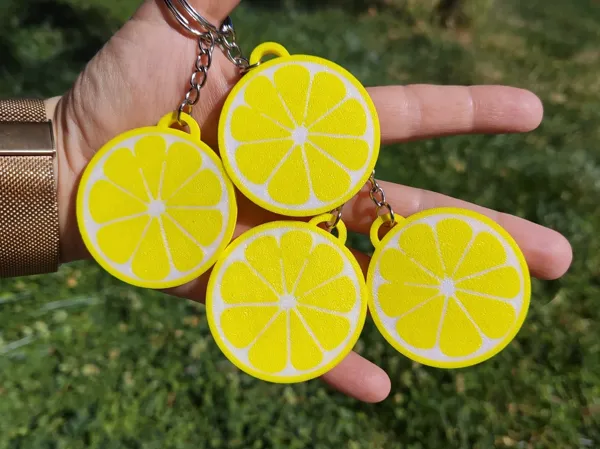 https://makerworld.bblmw.com/makerworld/model/US9e923d5950cb91/design/2025-06-22_86c849592f2268.jpg
