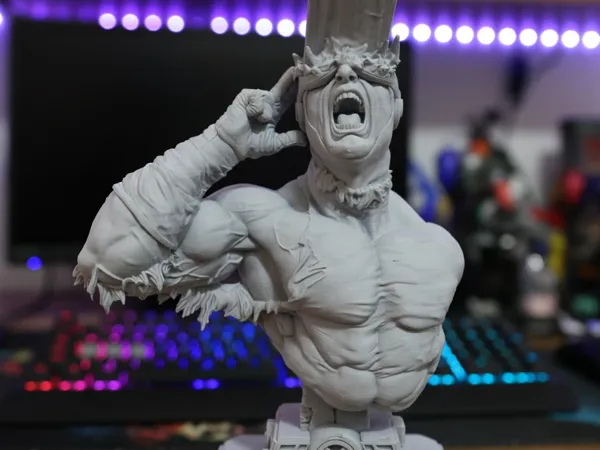 https://makerworld.bblmw.com/makerworld/model/US9e9913538fb26e/design/dbaf0e2586a8513e.png