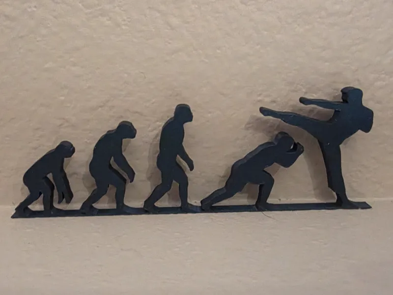 Evolution of Fighting – Martial Arts Silhouette