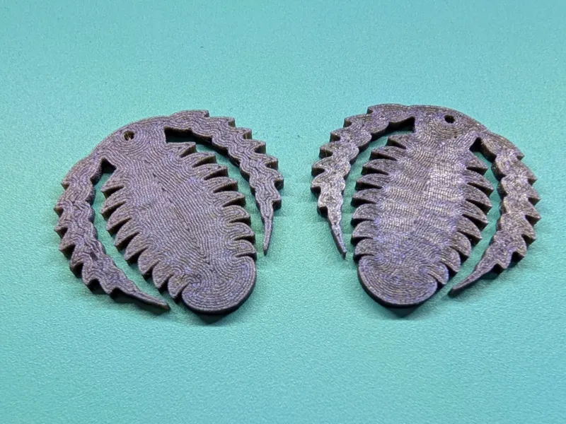 Trilobite Earrings/Charms