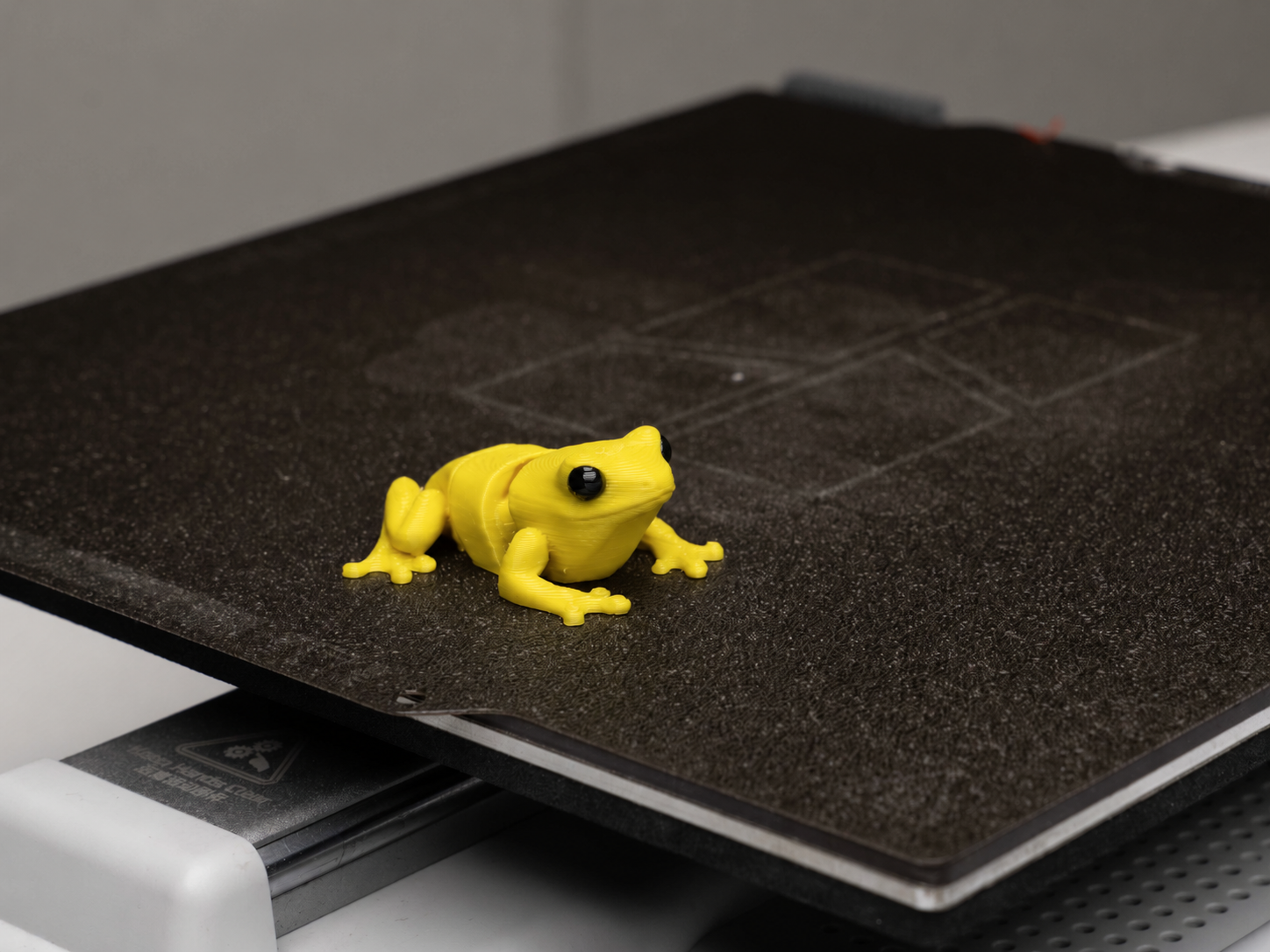 Miniatura 2 do modelo 3D Tiny Articulated Frog 