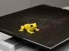 Multicolor Print Profile (golden frog)