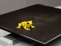 Multicolor Print Profile (golden frog)