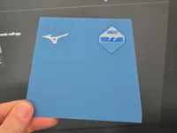 0.16mm layer, 2 walls, 15% infill