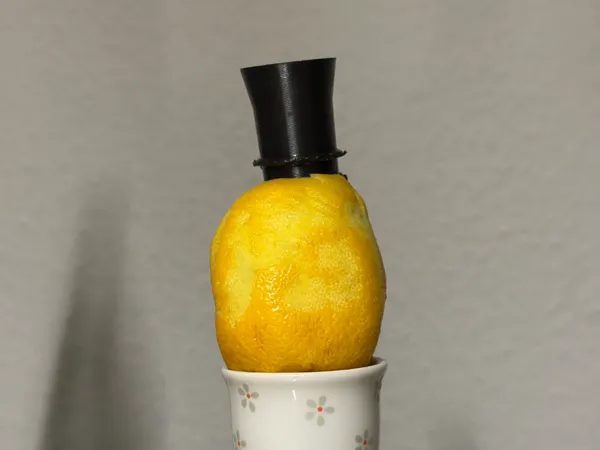 https://makerworld.bblmw.com/makerworld/model/US9ec074c0544673/design/2025-10-17_7ff19981f40c9.jpg