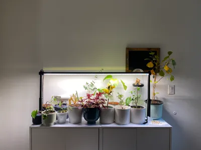 Barrina T10 Plant Grow Light Stand