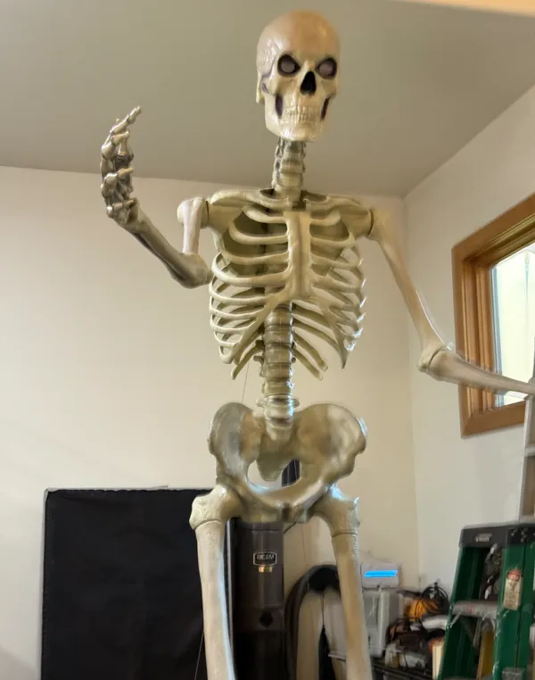 https://makerworld.bblmw.com/makerworld/model/US9ec2065becfdf8/design/2024-11-08_7c8632333ec968.jpg