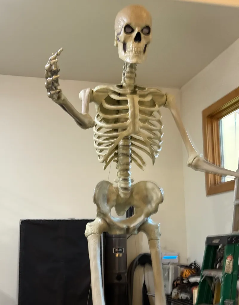12 foot skeleton Halloween elbow join replacement 