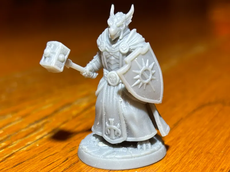 Dragon Born Cleric